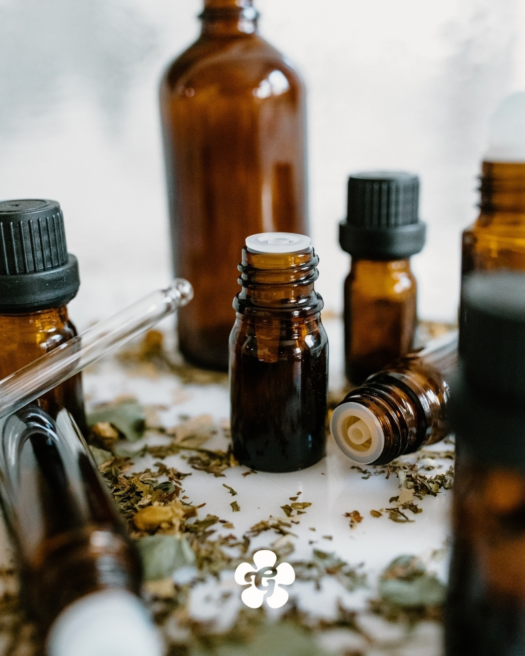 31.12. objava – kopija (2)